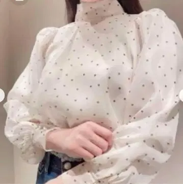 스나이델 오간 시스루 블라우스