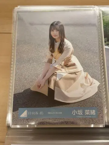 코사카 나오 보쿠난카