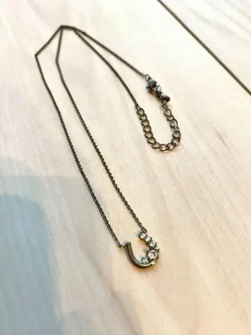 anchelion 실버 목걸이