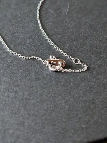 목걸이 K10 체인만