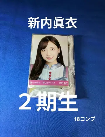 노기자카46 신우치 마이 브로마이드 56장