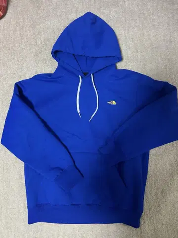 THE NORTH FACE 파랑 후드티 남성용 M 사이즈
