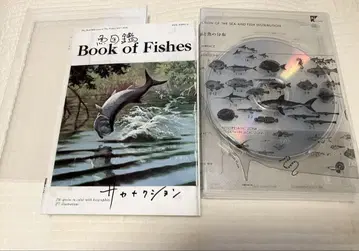 [새상품급] 사카낙션 어도감 2DVD