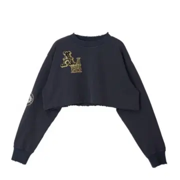 [ 정가 17600 엔 ] ANERI WAPPEN SWEAT TOP