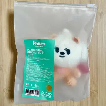 TXT 뿔바투 PPULBATU 플러시 키링 범규 밤굿