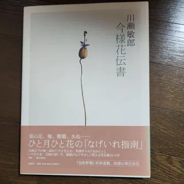 카와세 토시로 이마요 하나덴쇼