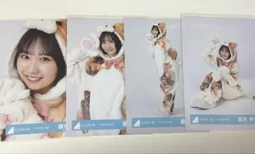 히나타자카46 후지시마 카호 동물 인형옷 컴프