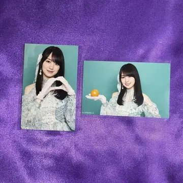 카키 하루카 네이블 오렌지 미니 브로마이드 2장