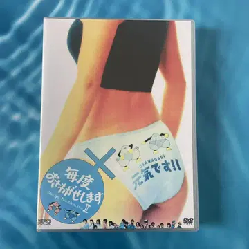 매번 소란을 일으킵니다 II DVD (8매 세트)