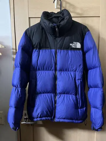 THE NORTH FACE 눕시 다운 자켓