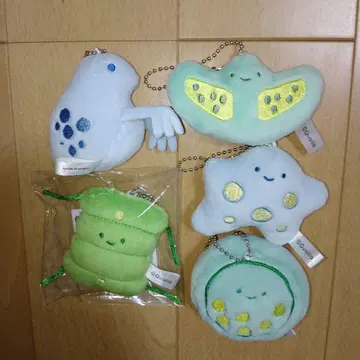 퀄리아 미생물 봉제 인형 닛코리노 미진코 아메바 이카다모