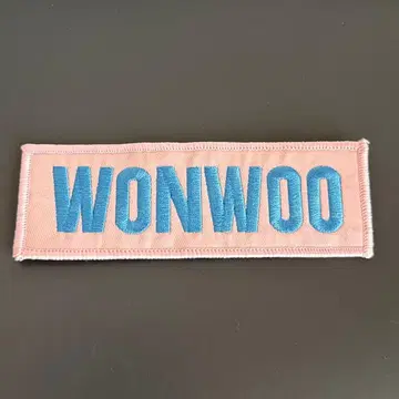 SEVENTEEN 원우 네임와펜