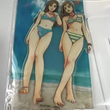 수량 한정 이니셜D 아크릴 스탠드 마코&사유키 아크릴 스탠드