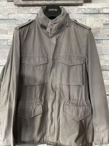 아스펜지 M65