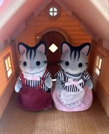 [ 미사용에 가까움 ] 그레이쉬 고양이 아빠 엄마