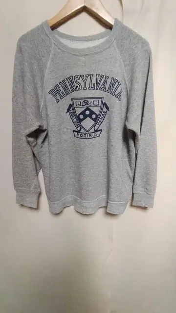 빈티지 펜실베니아 PENNSYLVANIA 래글런 프린트 맨투맨 M