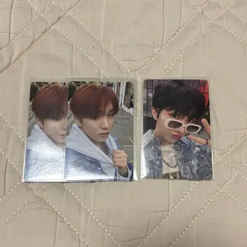 운학 트레이딩 카드 중화 yzy 3장