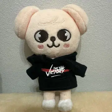 straykids 스키즈 승민 PuppyM 봉제 인형 mini