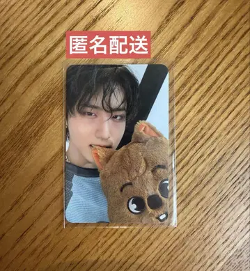Stray Kids 스키즈 POP-UP 한 트레이딩 카드
