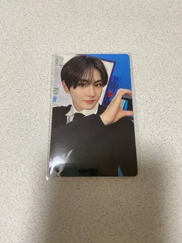 ENHYPEN 설문 트레이딩 카드 정원