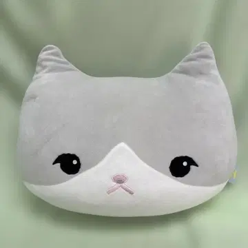 SHINee 태민 쿤 쿠션
