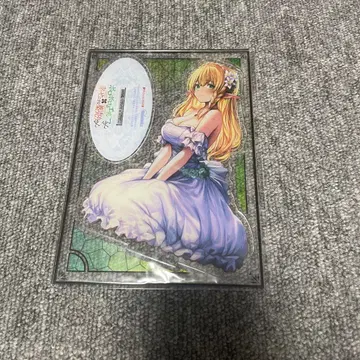 리즈레 씨 B6 아크릴 피규어 낡은 엘프를 행복하게 하는 약장수 씨