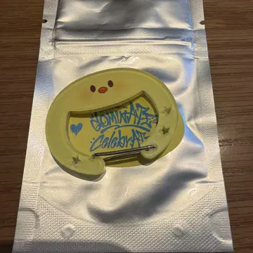 celebrATE 팝업 아크릴 카라비너 스키즈 포가리 필릭스