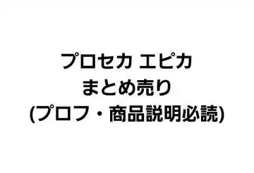 프로세카 에피카 묶음 판매