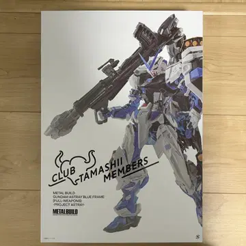 METALBUILD 아스트레이 블루 프레임 PROJECT ASTRAY