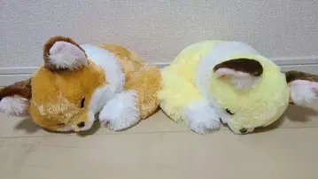 쵸콘과 여우 2세트