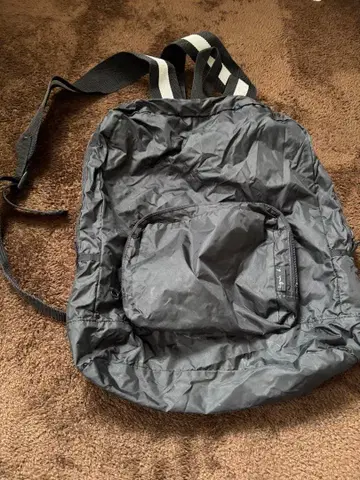 아네스베 백팩 접이식