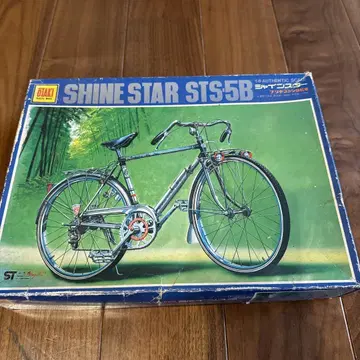 DAIKY SHINE STAR STS5B 프라모델