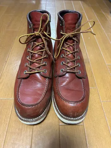 RED WING 아이리쉬 세터