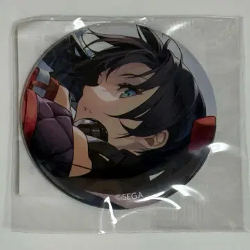 CHUNITHM 복권 캔뱃지 F-11