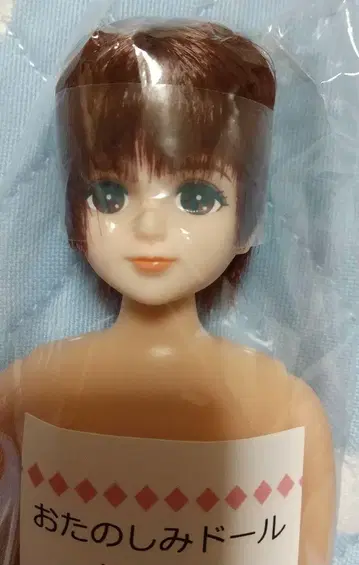 렌 군 리카짱 보이프렌드 즐거운 인형 리카짱 캐슬