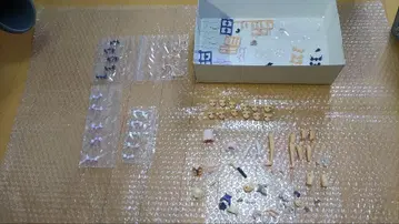 프레임 암즈 걸 계열 정크 세트