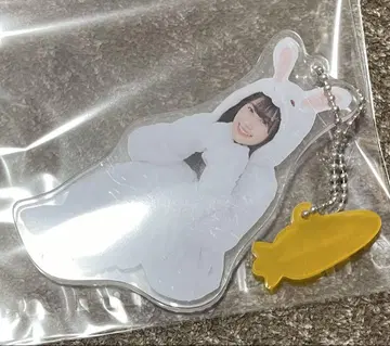 히나타자카46 이시즈카 타마키 동물 인형옷 키링
