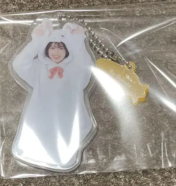 히나타자카46 시미즈 리오 동물 인형옷 키링