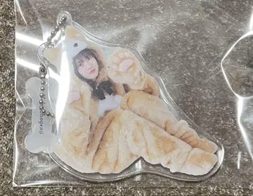 히나타자카46 쇼겐지 요코 동물 인형옷 키링