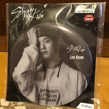 Stray Kids BIG 캔뱃지 Lee Know