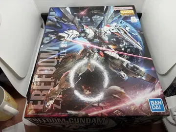 MG 1/100 프리덤 건담 Ver.2.0
