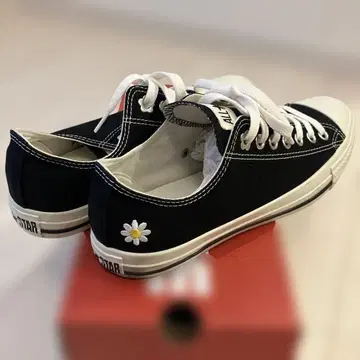 데이지 자수 ALL STAR 블랙 캔버스 스니커즈