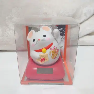 솔라 행복 부르는 아이 (화이트 컬러)