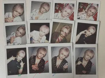 영[Hz] Leo 폴라로이드