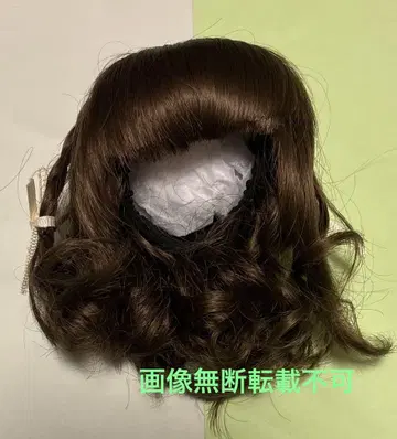 보관품 보크스 코디네이트 모델의 가발 1 SDM