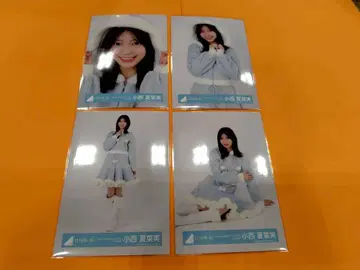 코니시 나나미 히나타자카46 하피마지 투어 2024 산타 브로마이드 컴프