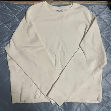 Champion Reverse Weave 무지 화이트