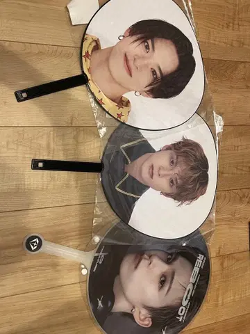 TREASURE ASAHI 아사히 부채 세트