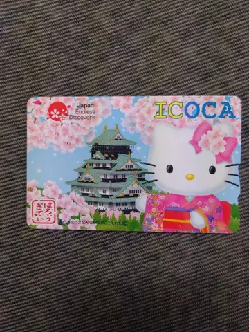 키티 이코카