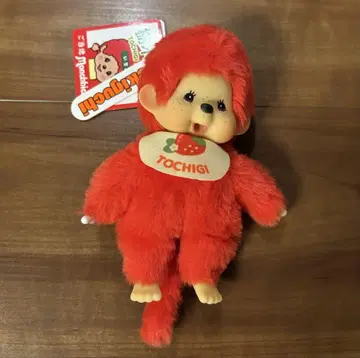 지역 한정 몬치치 도치기 한정 딸기